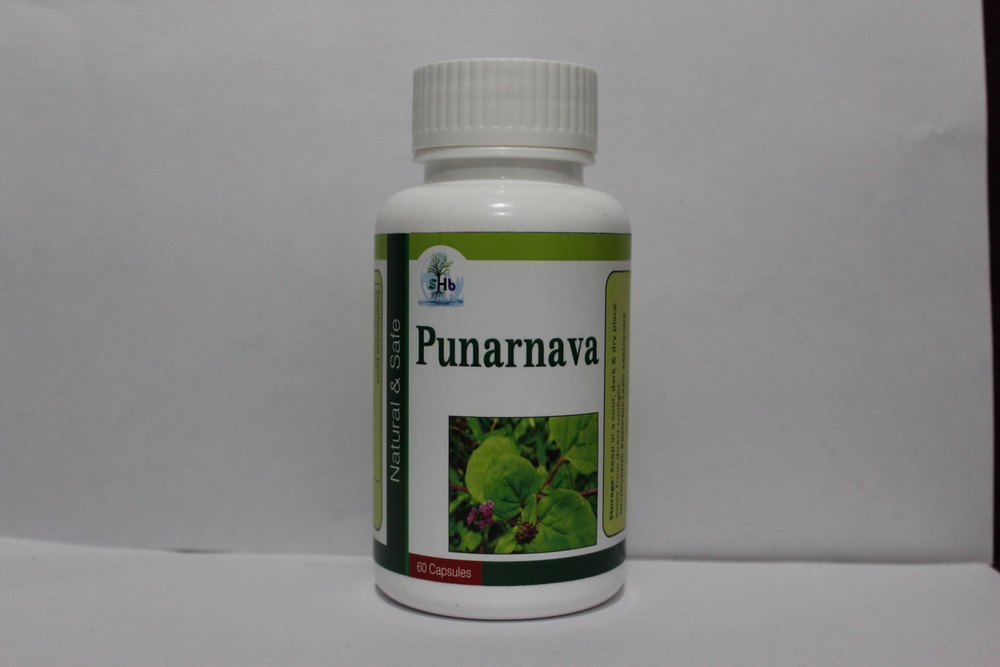 sriherbasiabiotech punarnava capsules, Packaging Type: Bottle