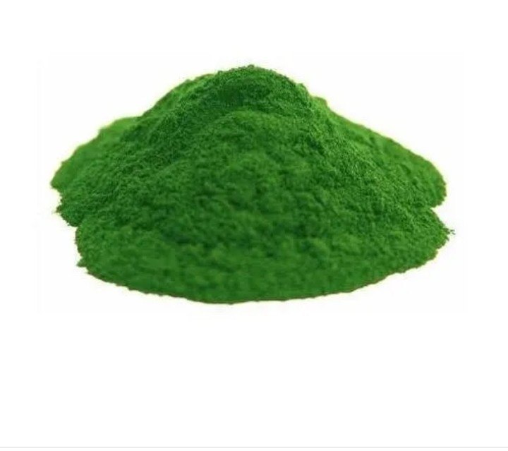 Chlorella Extract powder 40%