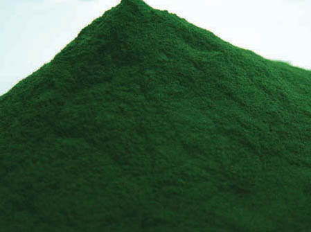 Chlorella Powder - Direct Farm, Packaging Size: 1 kg