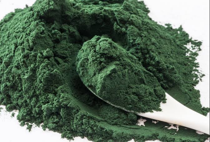 Chlorella Extract Powder, Packaging Type: Plastic Bag, Packaging Size: 1 Kg