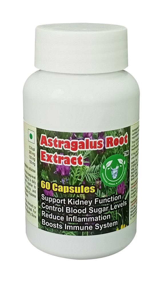 Astragalus Root Extract Capsule - 60 Capsules