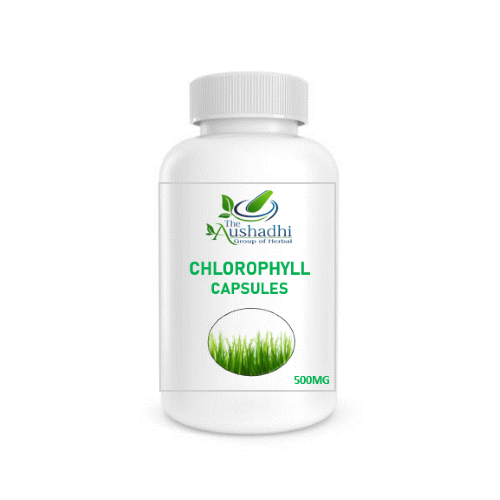 Herbal Chlorophyll Capsule, 60 Capsules