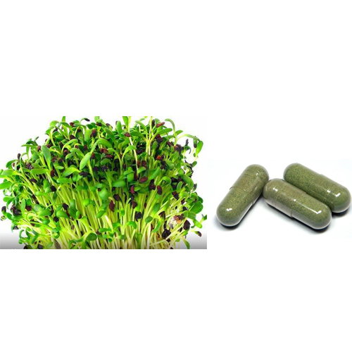 Alfalfa Capsule, Usage: Personal