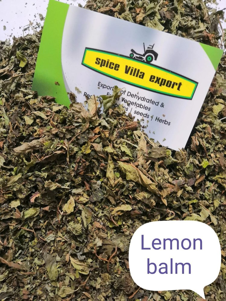 Green Lemon Balm, Packaging Type: Bag, Packaging Size: 1 TO 10 KGS