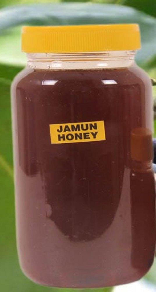 Natural Jamun Honey, 1 kg img