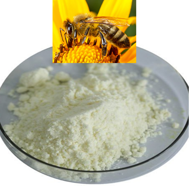 Honey Bee Venom Purified and Lyophilized