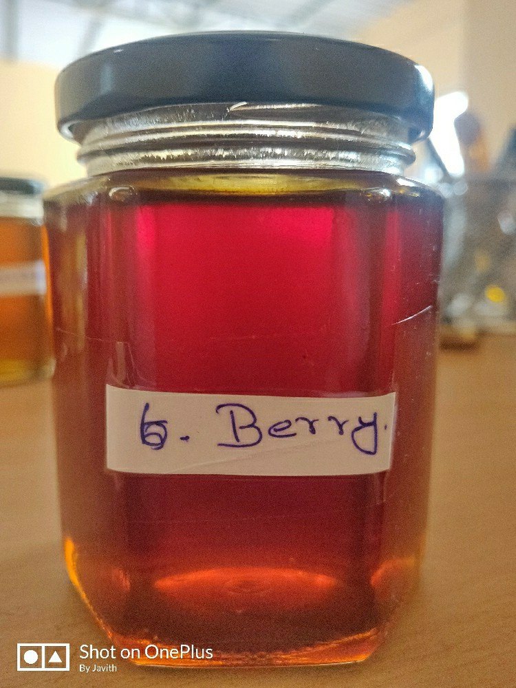 IAH Berry Honey, Treatment: Can, Packaging Size: 30KG img