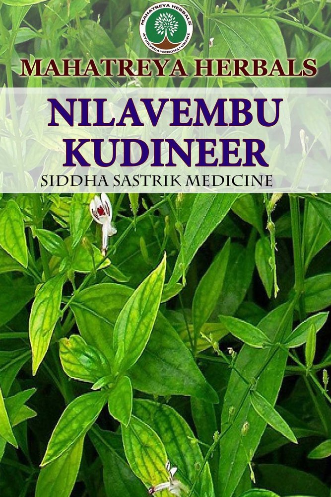 Nilavembu Kudineer, Packaging Type: Plastic Pouch, Packaging Size: 50 Gram