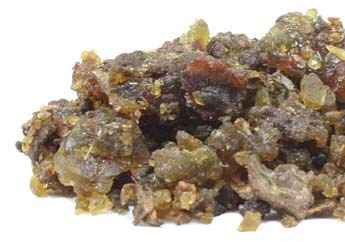 Guggul Gum