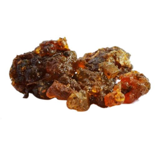 Guggul Gum Extract