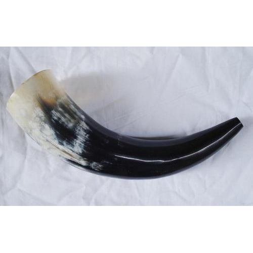 Black And White Blowing Drinking Horn