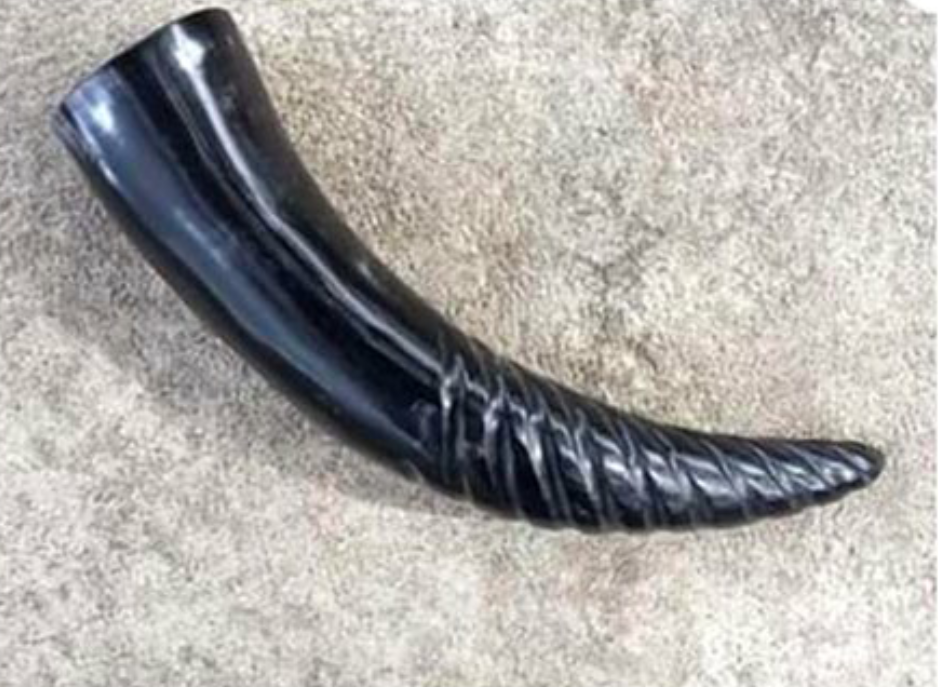 Black Drinking horn, Size: 14to15inch