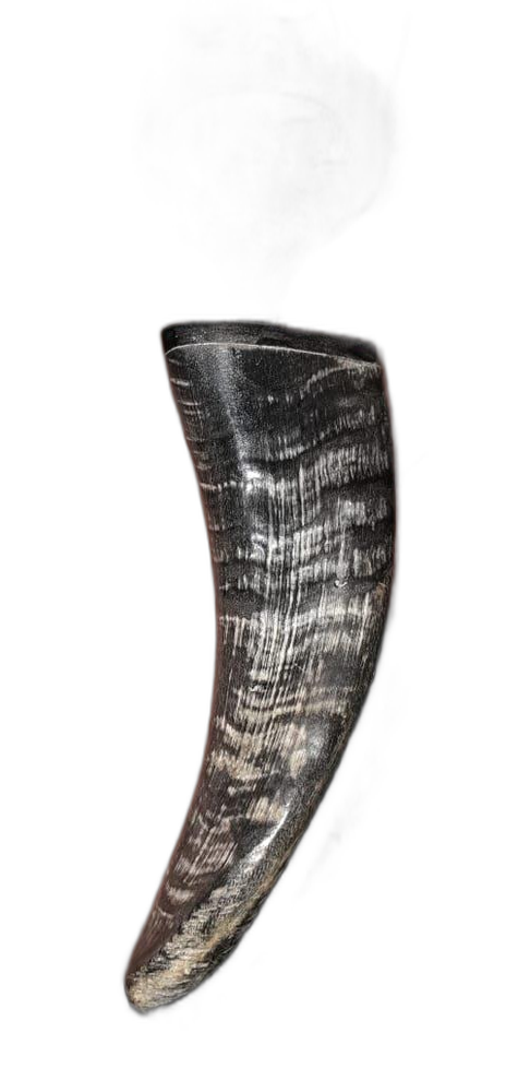 Black Drinking Horn, Size: 6 Inch