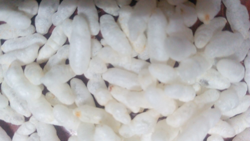 Puffed Rice, Speciality: Organic
