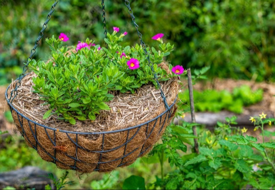 Brown Round Coir Hanging Basket 10 Inch