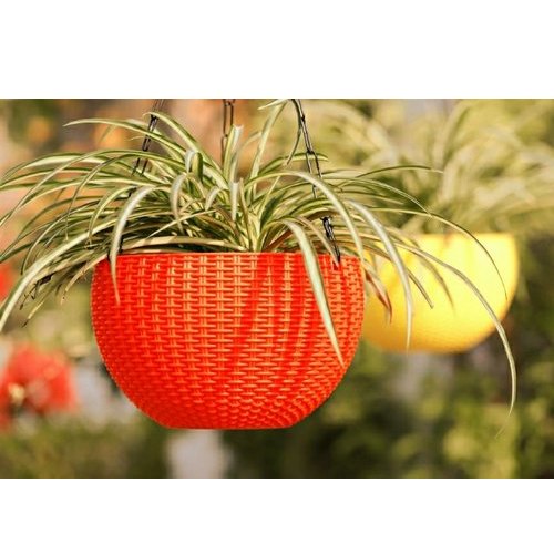 Plastic Round Hanging Basket, For Home, Office Etc, Size: 8