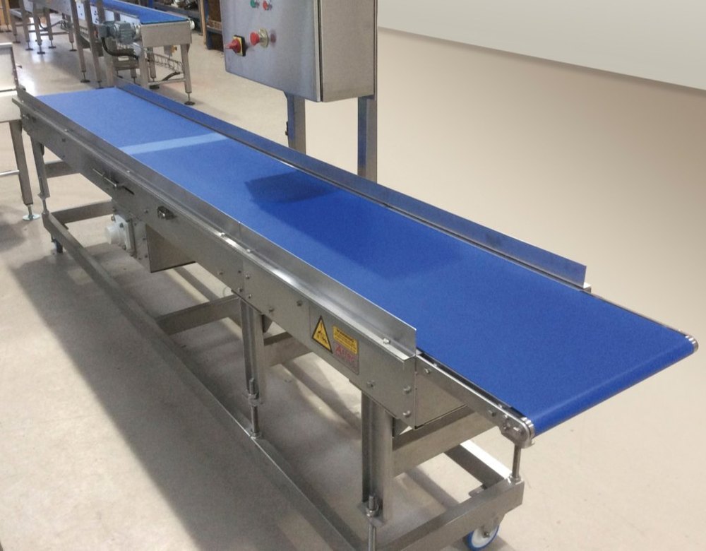 10 Ft Motor SS Industrial Packing Conveyor, Capacity: 100 kg/ft