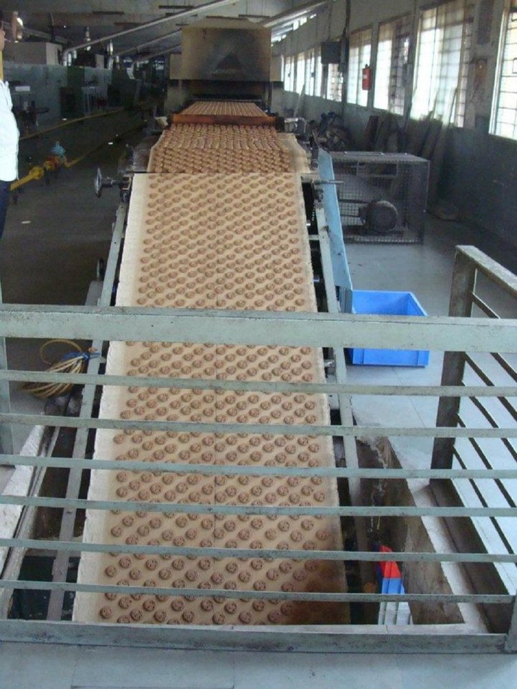 Mild Steel Belt Biscuit Cooling Conveyor System, Capacity: 75 kg per feet