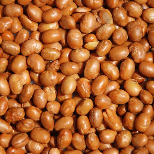 Roasted Soybeans img