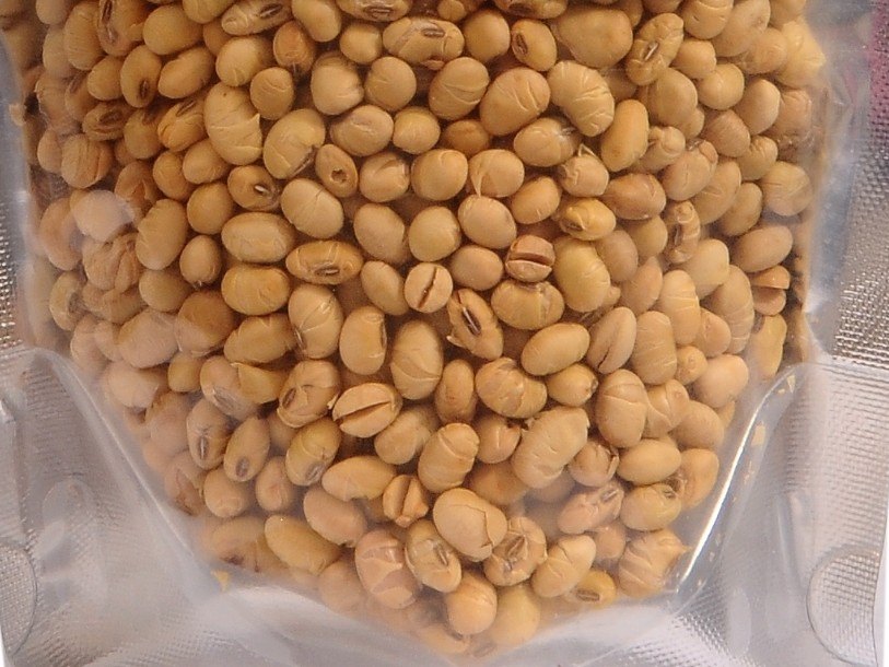 Kanishk in Food Roasted And Salted Soyabean Protein, Packaging Size: 200 Grams, Packaging Type: Packets img