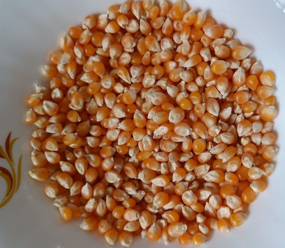 Butterfly popcorn seeds img