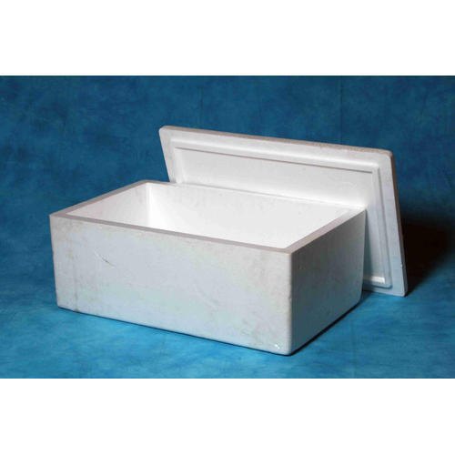 White Rectangular 25 Litre Dry Ice Thermocol Box, For Packaging