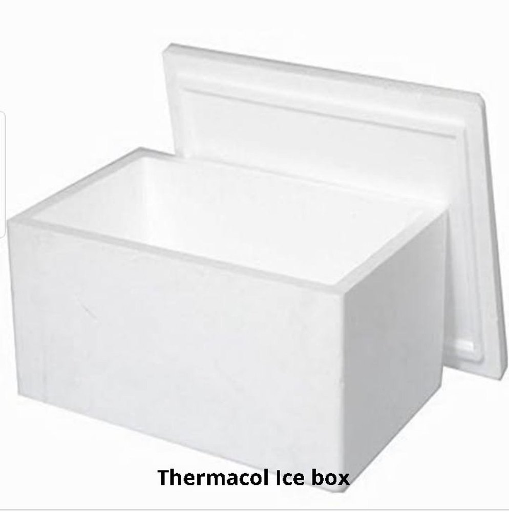 Normal EPS Rectangular White Thermocol Ice Box