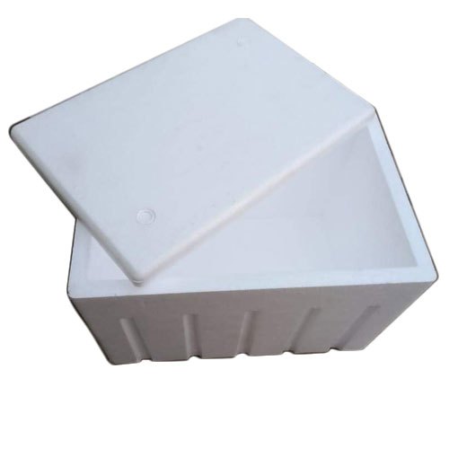 20 L Thermocol Ice Box