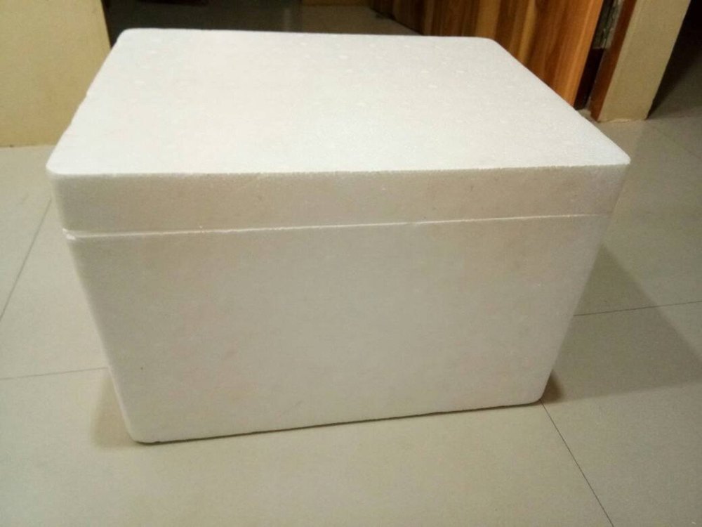 Normal ES Thermocol Ice Box, Capacity 10 Litre