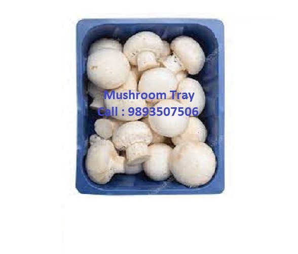 PVC Blue Mushroom Tray, 2mm, Capacity: 250gms