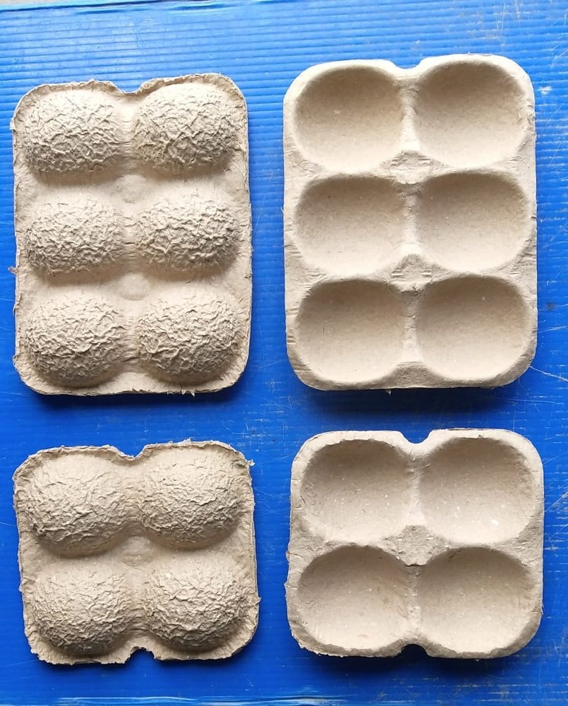 Standard 4 Cavity Apple Paper Pulp Trays