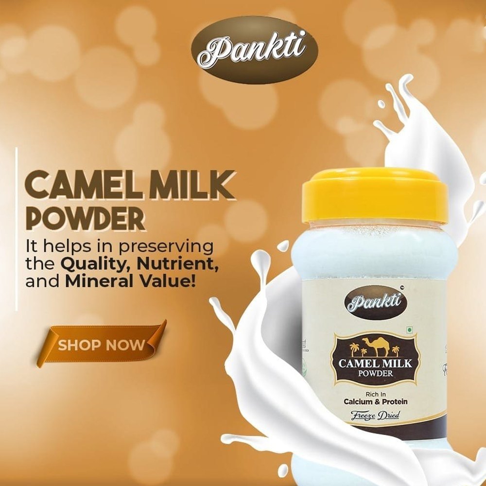 Pankti Spray Dried Camel Milk Powder 500g, Packet