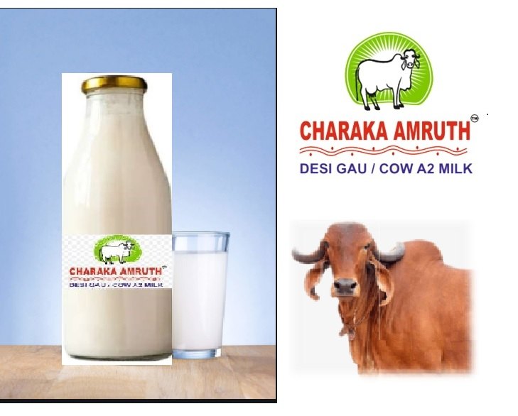 Pure Desi Gir Cow Milk