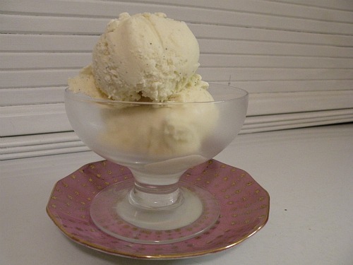 Sugar Free Vanilla Ice Cream