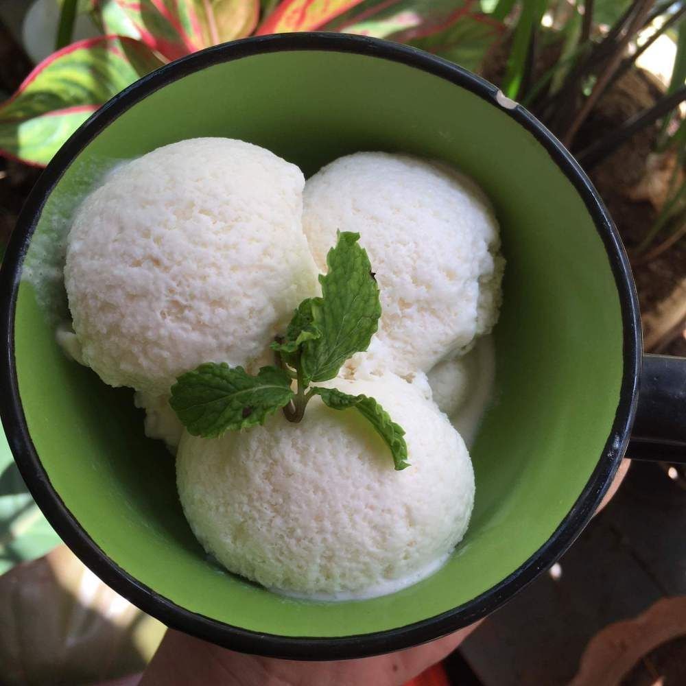 Tender Coconut Ice Cream, Box