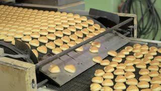 Cookies Making Machinery