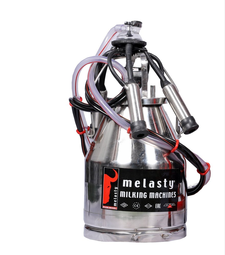 Melasty Stainless Steel Milk Bucket, Capacity: 25 L