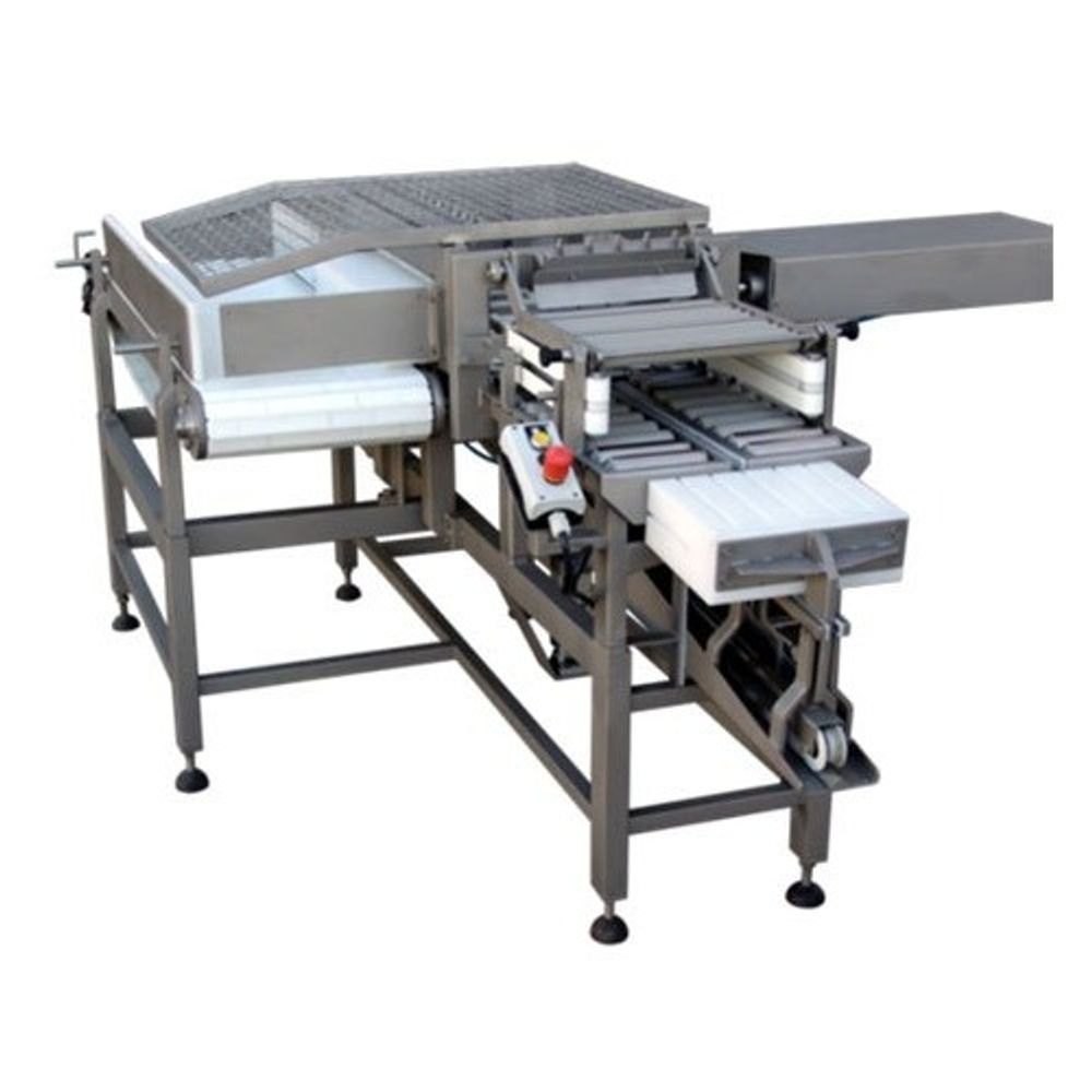 Automatic Paneer Cutting Machine