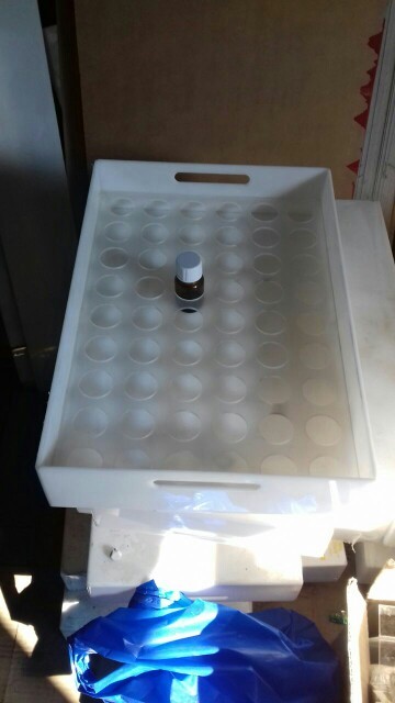 Plain Acrylic Tray For Bottles, Shape: Rectangle, Packaging Type: Carton Box