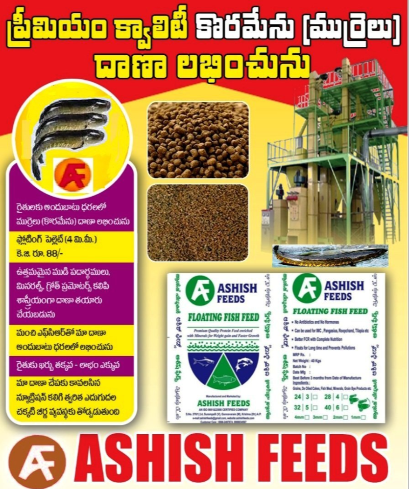 Murrel, korameenu Korameenu Fish Feed, Packaging Type: Bag, Packaging Size: 40 Kgs