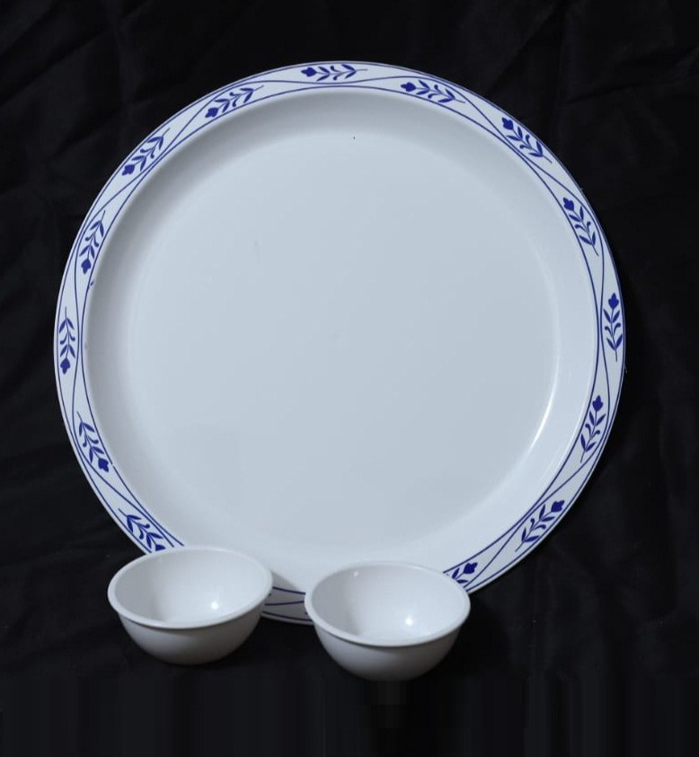 White Round plastic dinner Plate, Size: 13 