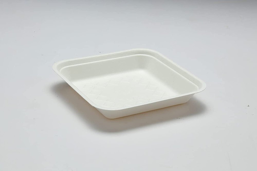 Bagasse Square Plate 7 Inch