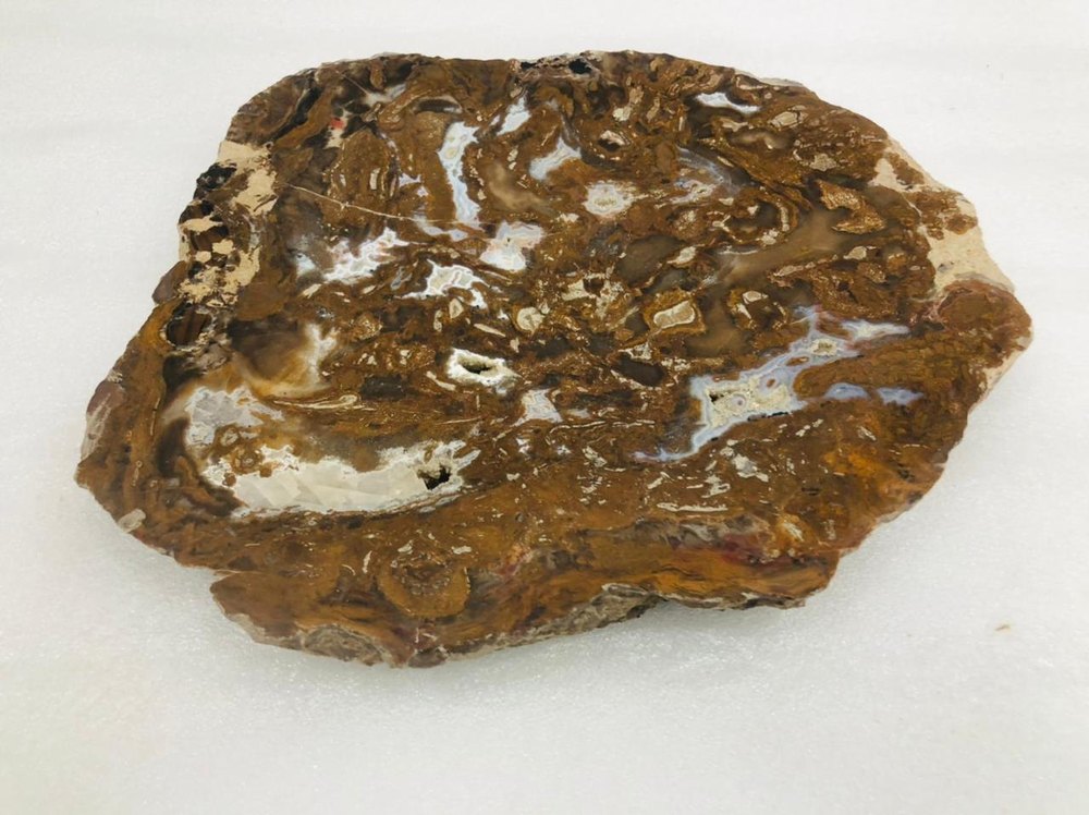 Brown Oval Fossil Wood Fruit Agate Platter, Size: 10 Inch