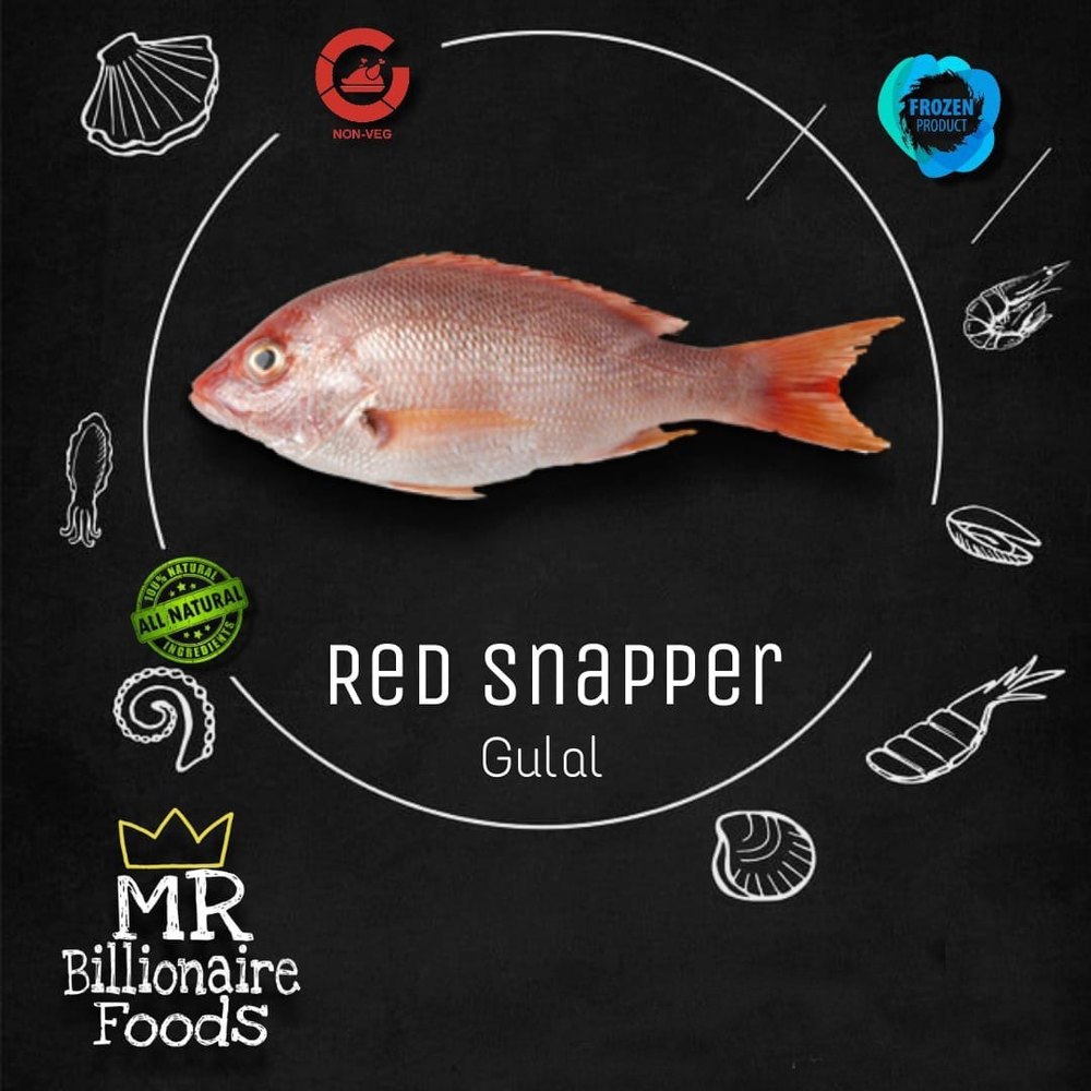 Red Snapper Fish, For Restaurant, Household And Mess