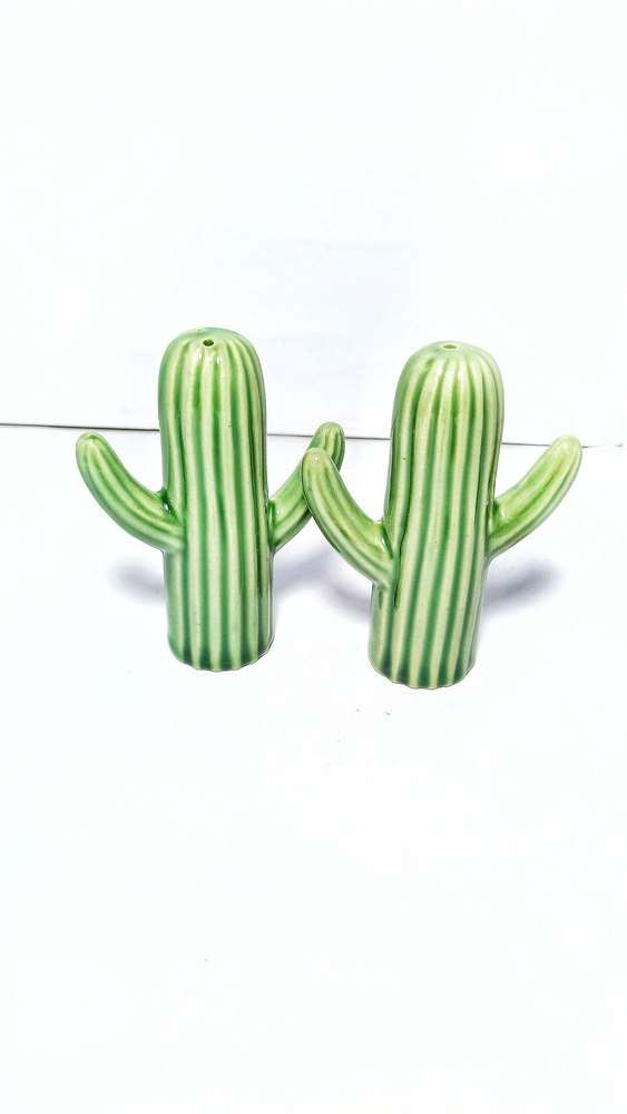 Coper green Ceramic cactus salt shaker, For Home, Packaging Type: Packet