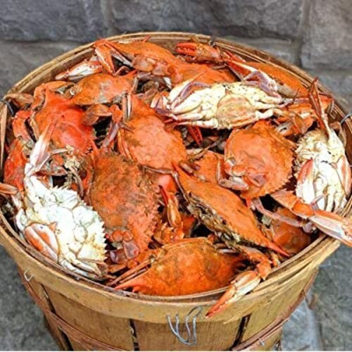 Silver Cameron\'s Seafood Premium Large Female Maryland Crabs (1 Dozen), Packaging Type: Thermocol Box img