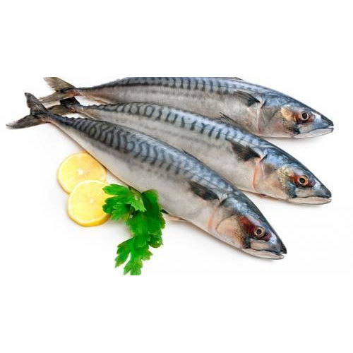 Frozen Mackerel Fish, for Restaurant, Packaging Type: Ld Cover