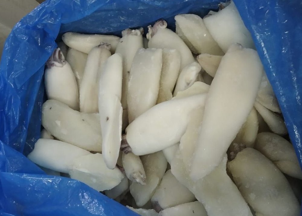 White Whole Cleaned Frozen Squid, For Hotel, Restaurant, Packaging Type: Loose