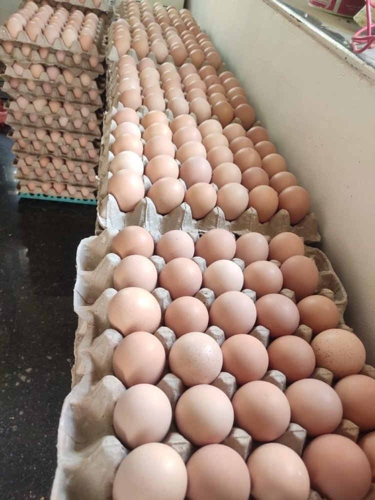 Export Quality White Eggs, For Restaurant, Packaging Type: Boxes