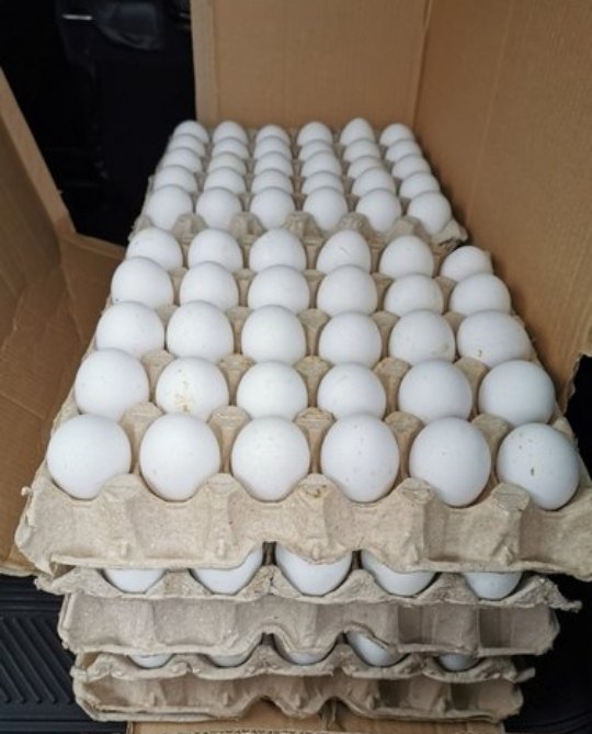 Kadaknath White Egg, Natural Protien, Packaging Type: Carton Tray img